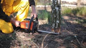 Best Tree Mulching  in Kdeer, IL